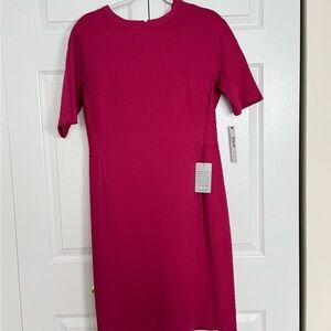 Maggy London Fuchsia Mini Dress